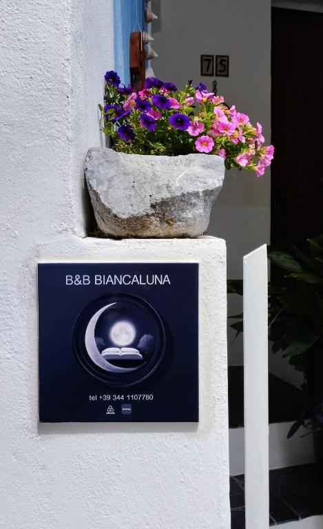 Certifikát, hodnocení, plakát nebo jiný dokument vystavený v ubytování B&B BIANCALUNA