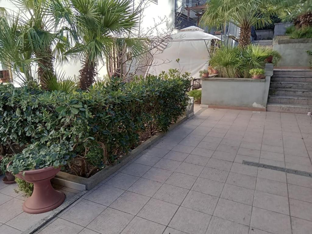 LA CASA DEI PARGOLI JUNIORにある庭