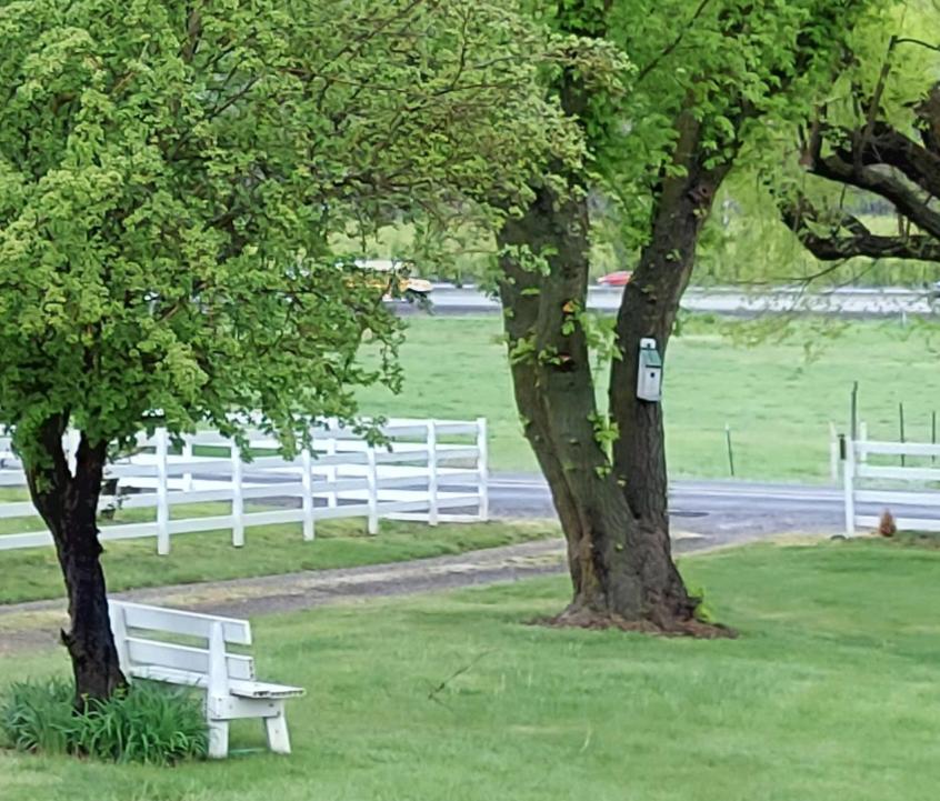 Zahrada ubytování Applinger Farm