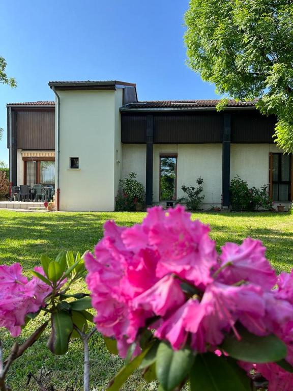 różowe kwiaty przed domem w obiekcie Maison 2 a 12 personnes,quartier résidentiel w mieście Thiers