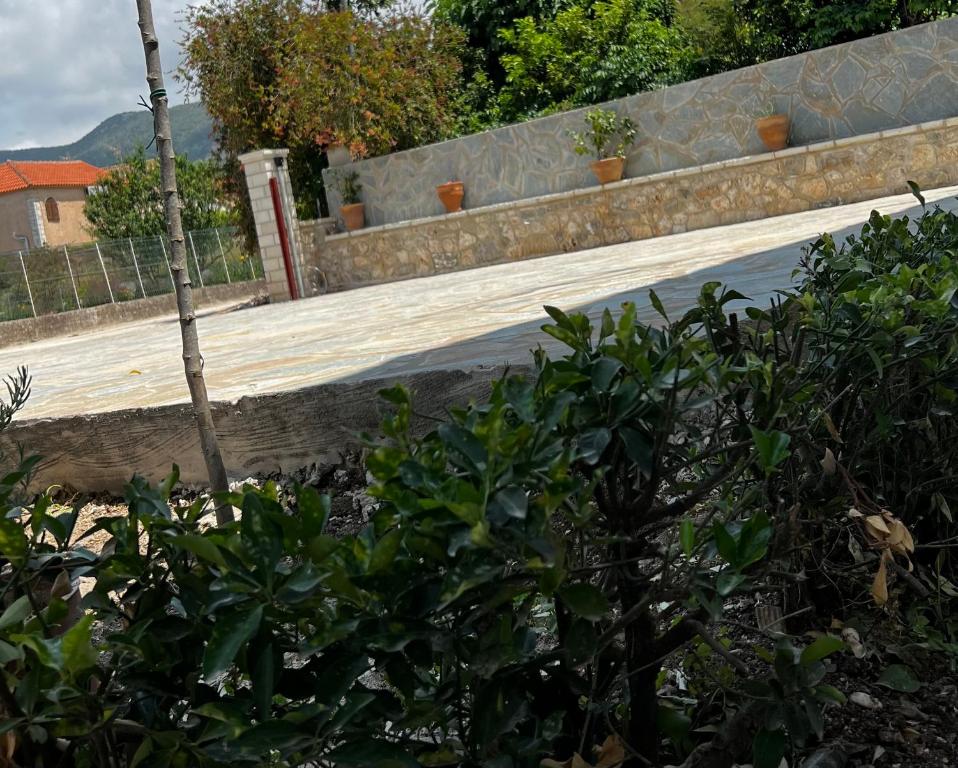 Vonkajšia záhrada v ubytovaní Dionysus Sivota Center