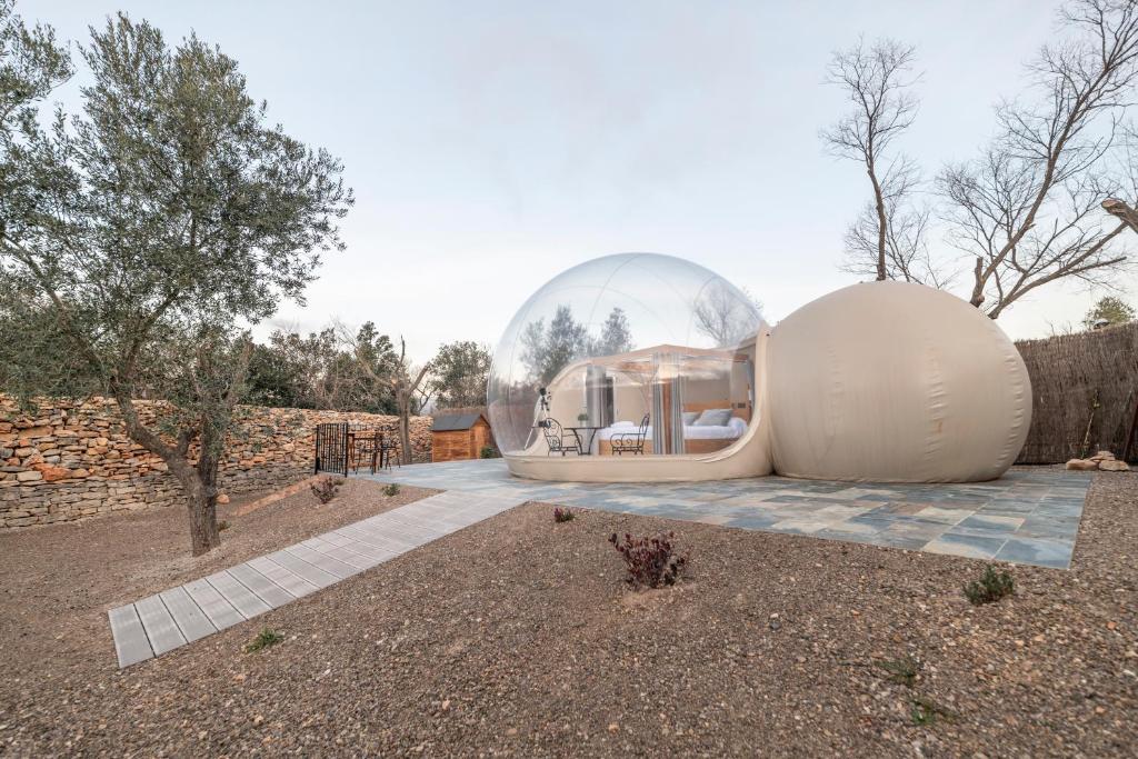 Zielo de Levante, Tirig – Updated 2023 Prices