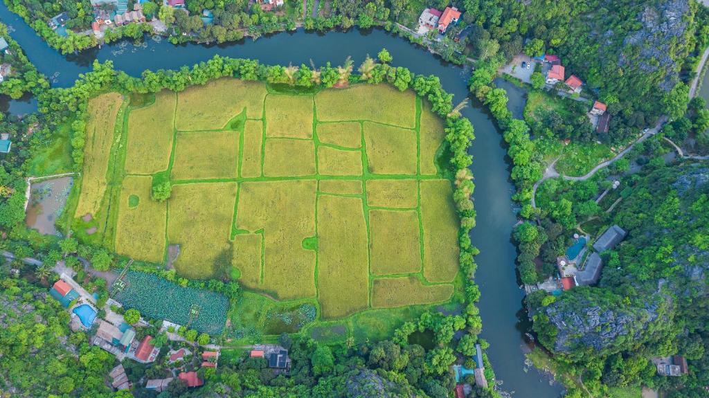 Green Mountain Homestay - 10