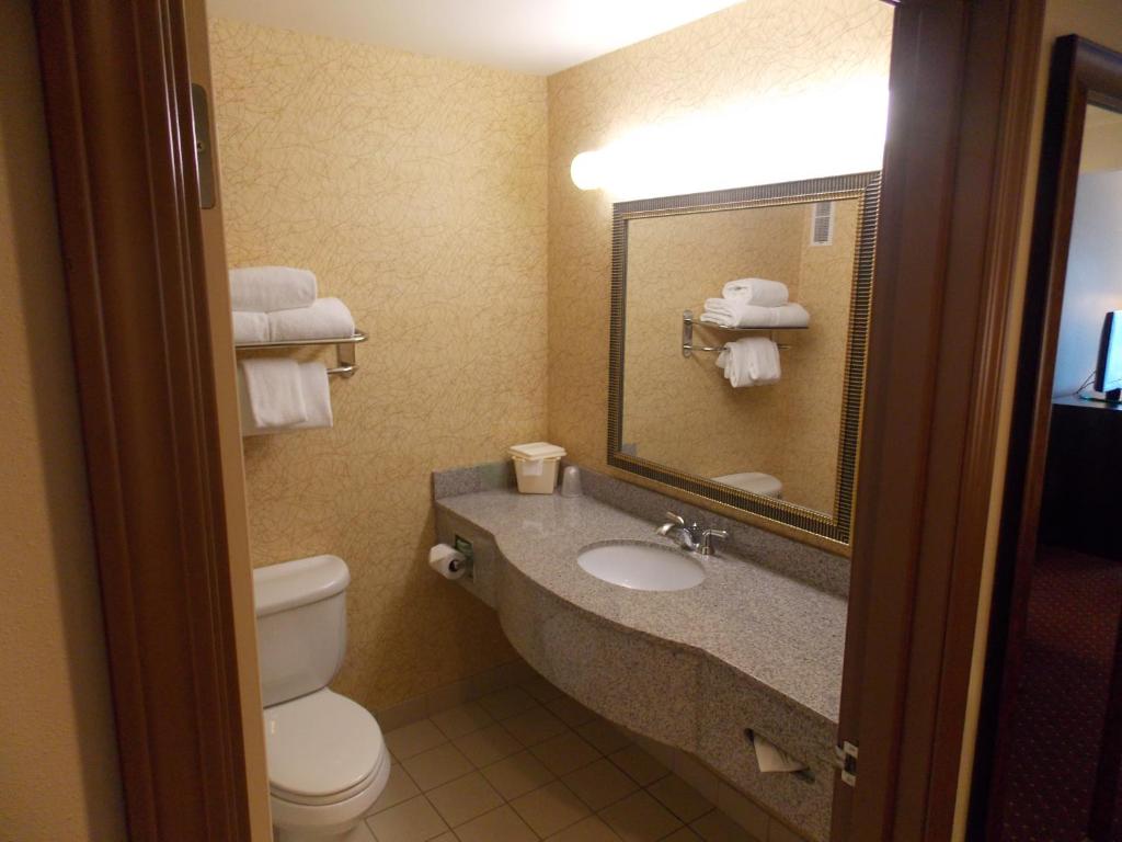 Koupelna v ubytování Holiday Inn Express Syracuse-Fairgrounds by IHG