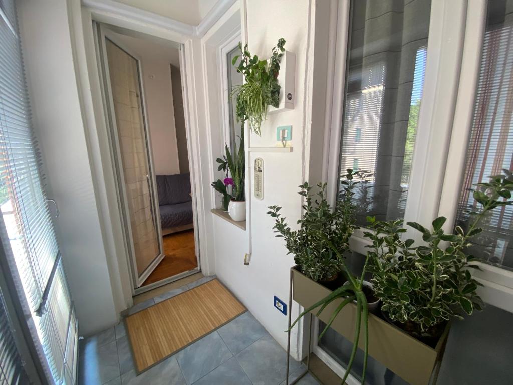 Maison de Amelie - 10