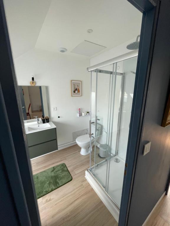 uma casa de banho com uma cabina de duche em vidro e um WC. em Villa Artiz em Dunkerque