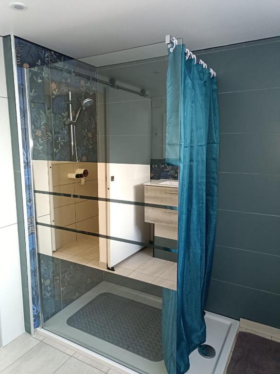 a bathroom with a shower with a shower curtain at L&#39;échappée Comtoise in Baume-les-Dames