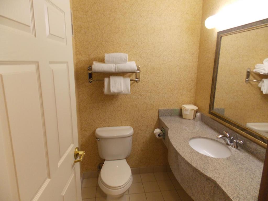 Koupelna v ubytování Holiday Inn Express Syracuse-Fairgrounds by IHG