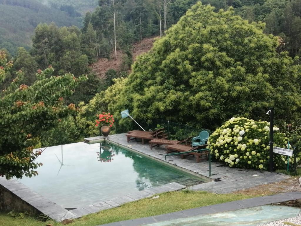 a swimming pool in the middle of a garden at Pátio do Xisto in Gondramaz