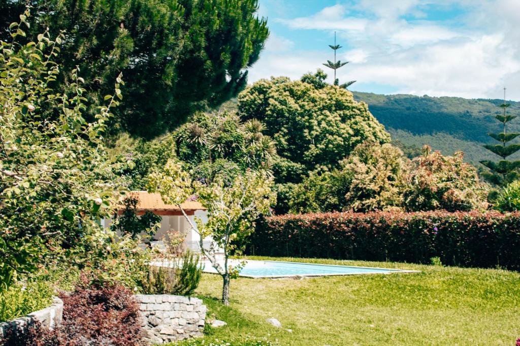 uma piscina num jardim com árvores e arbustos em Just Like Home Casa do Castanheiro em Afife