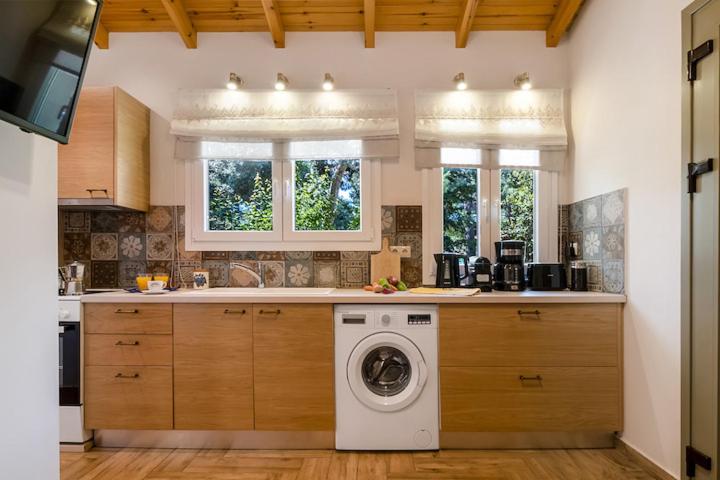 Kuchyňa alebo kuchynka v ubytovaní Poly's Villa Lefkada