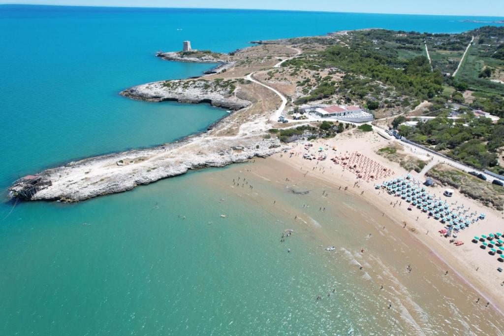 una vista aerea su una spiaggia e sull'oceano di Villaggio Turistico Scialmarino a Vieste