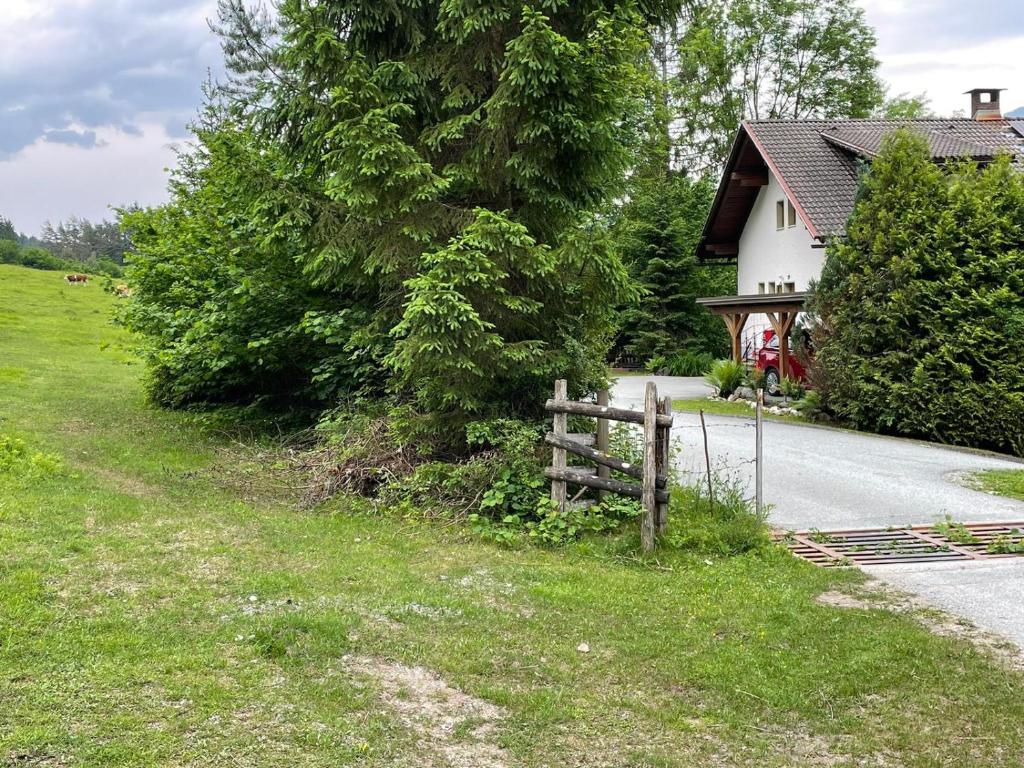 Příroda nedaleko apartmánu