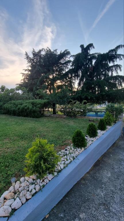 Giardino di Guest House Jasmin