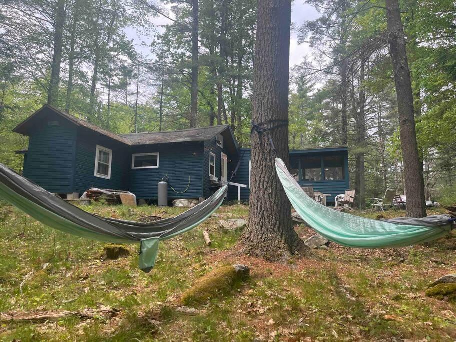 un par de hamacas frente a una cabaña en Private house surrounded by nature, en Forestburgh