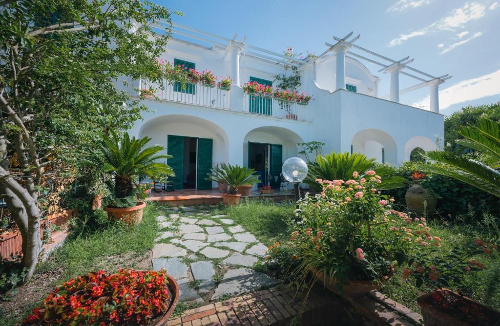 a white house with potted plants and flowers at Villa Domenicanda in Capri