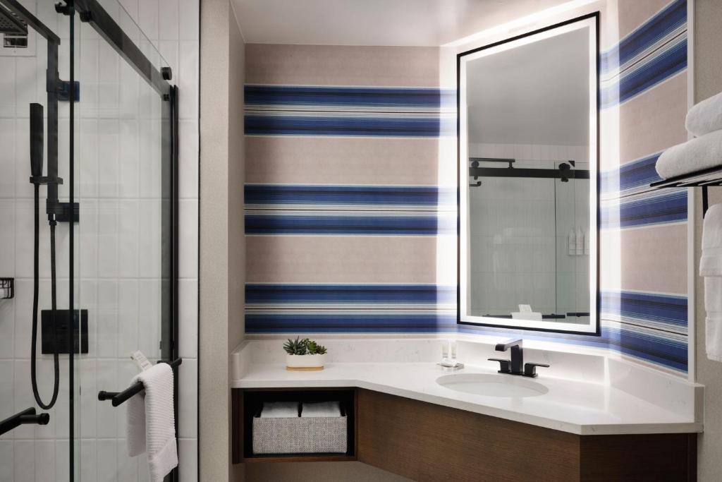 Koupelna v ubytování Austin Marriott South