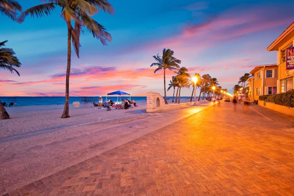 Are Dogs Allowed On Hollywood Broadwalk