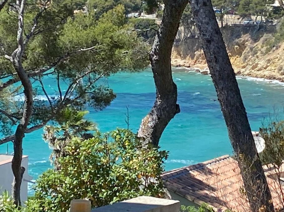 サナリー・シュル・メールにあるPortissol, charmant T2, neuf, vue merの木々からの海の景色