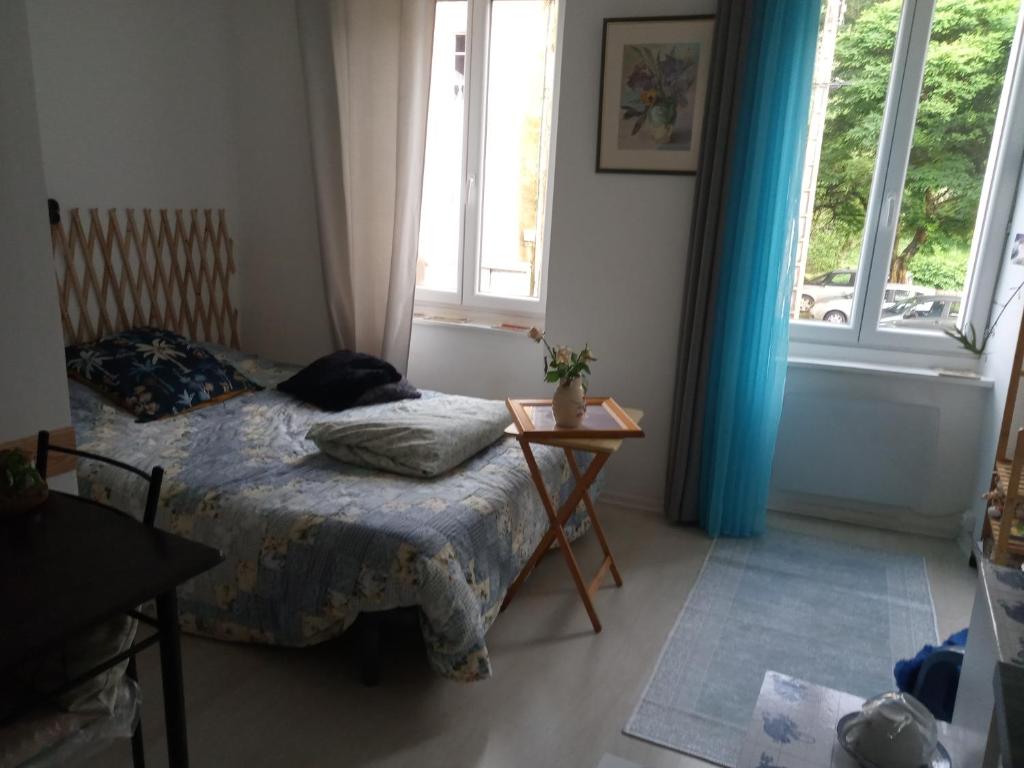 a bedroom with a bed with a cat sleeping on it at Tiny Studio Ariège Pyrénées in Castelnau-Durban