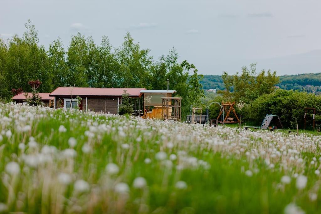 um pátio de comboios com um edifício e um campo de flores em Domki na Górniej Łące - Domek Słowik em Łazany