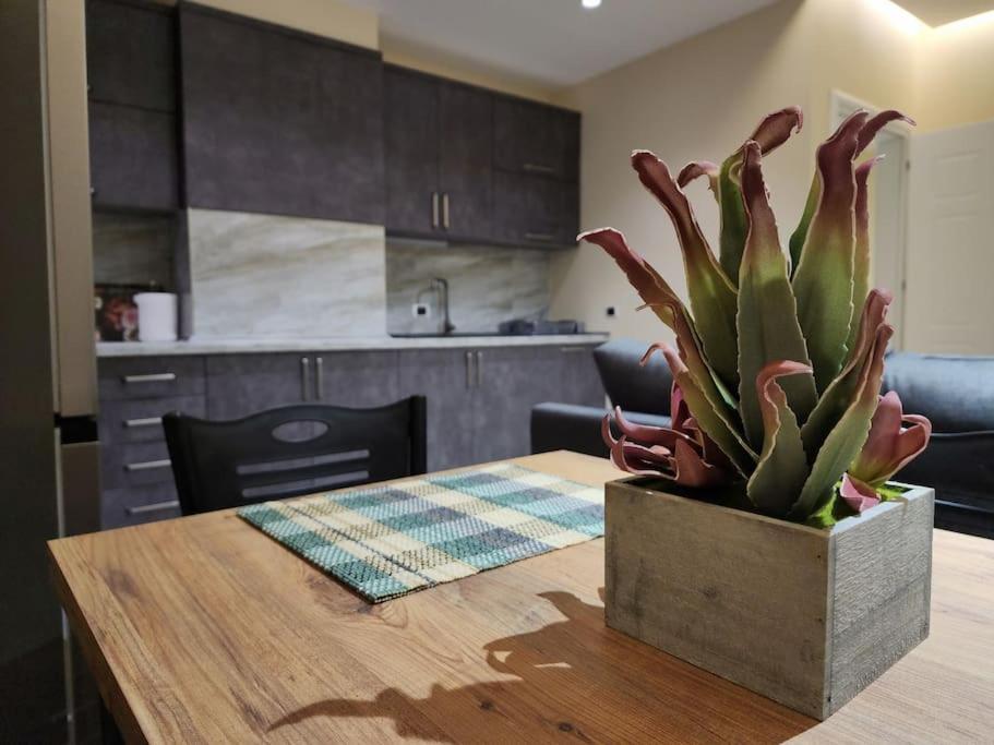 Central Apartment-New Bazar (with balcony) - Imazhi 4