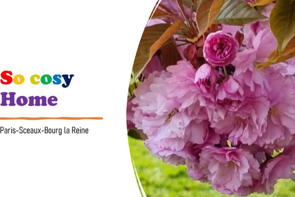a picture of a bunch of pink flowers at So Cosy Home Paris-Sceaux/Bourg-la-Reine. in Sceaux