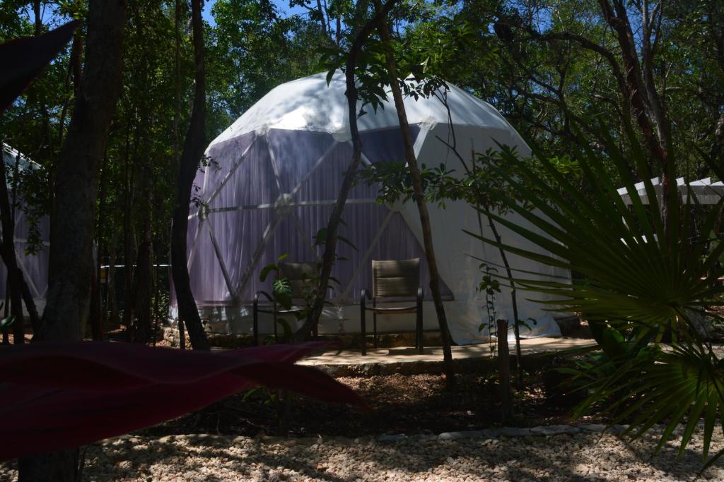 Nespecifikovaný výhled na hory nebo výhled na hory při pohledu z luxury tent