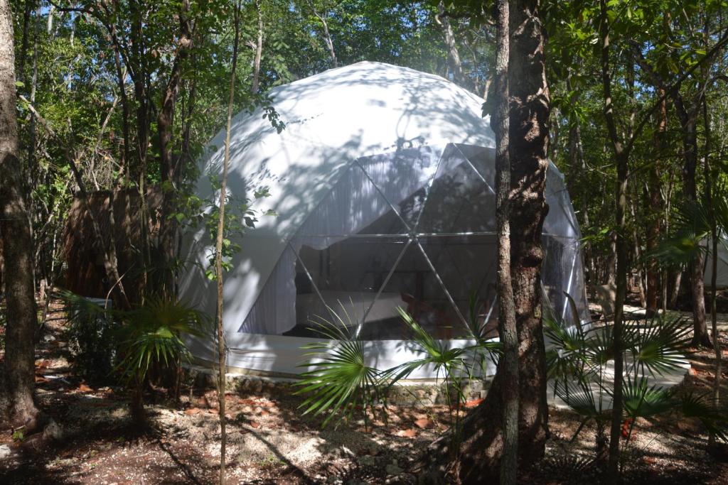 Příroda nedaleko luxury tent
