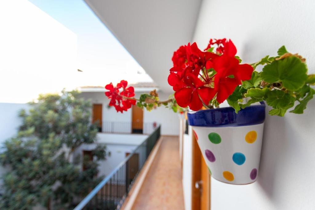 Balkón alebo terasa v ubytovaní Hotel Oasis Atalaya