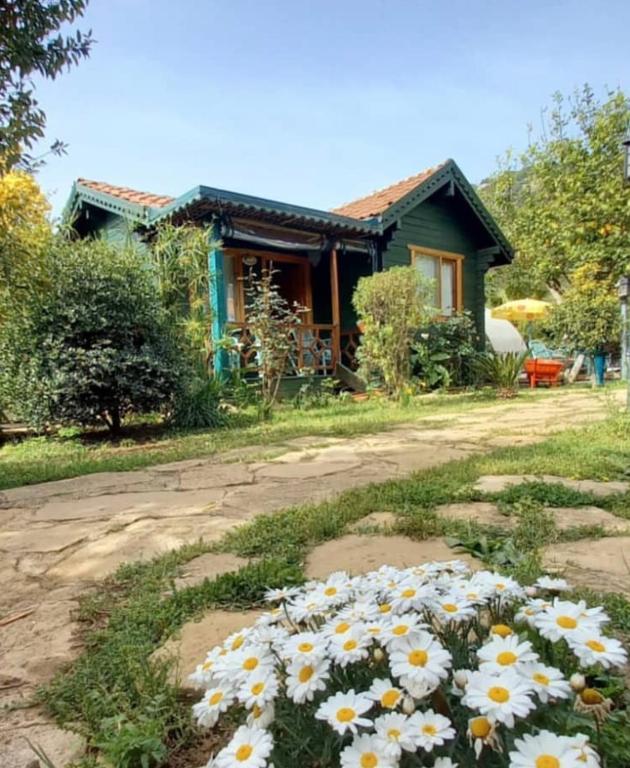 a bunch of daisies in front of a house at Turkuaz Bungalows in Cıralı