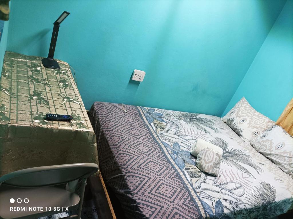 ein Bett in einem Zimmer neben einer Wand in der Unterkunft Excellent Pleasantville Apartment in San Fernando
