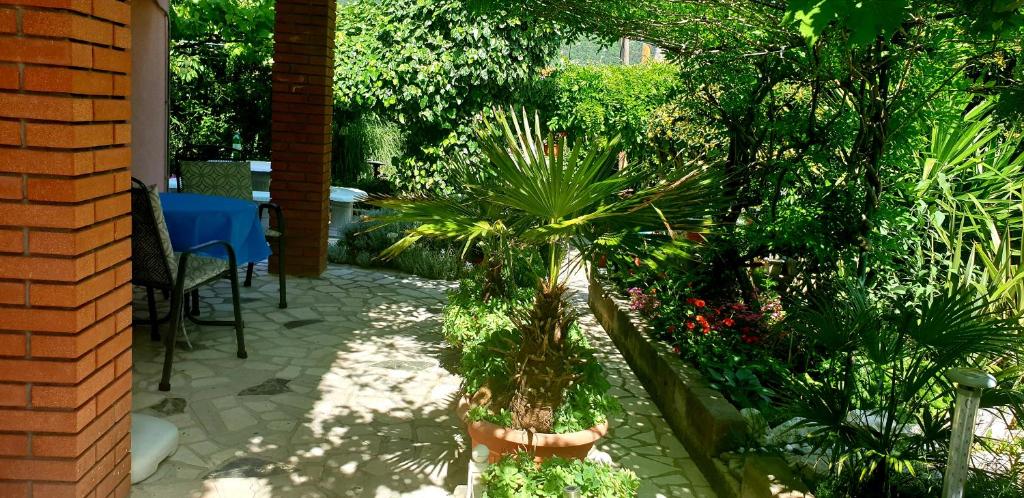 Zahrada ubytování Apartments Bura & Jugo, Cres, without stress
