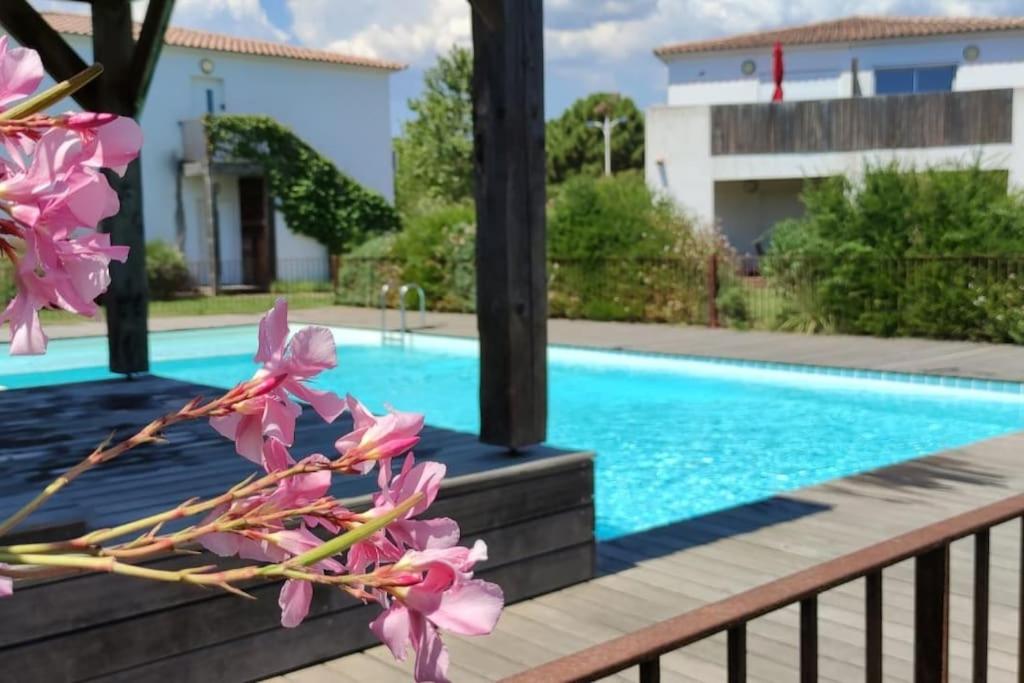 un complexe avec une piscine et des fleurs roses dans l'établissement Appartement 2/4 pers, piscine, proche mer, Lecci, à Lecci