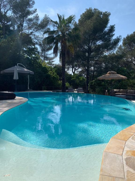 una grande piscina blu con alberi sullo sfondo di B&B LES VOILES DE VALESCURE chambres d'hôtes et son espace bien être a Saint-Raphaël