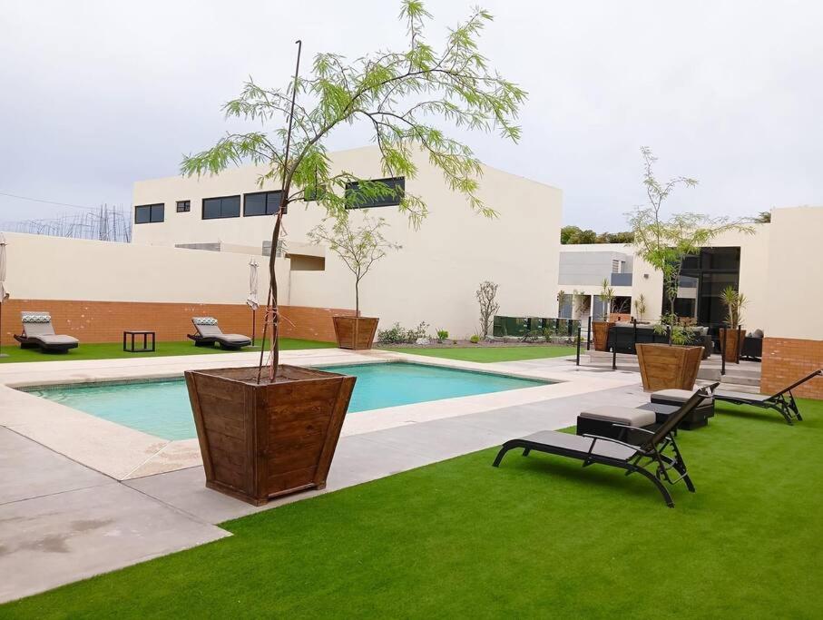 una piscina con un banco y un árbol en maceta junto a un edificio en Departamento de lujo nuevo con Alberca y Gimnasio, en Ciudad Obregón