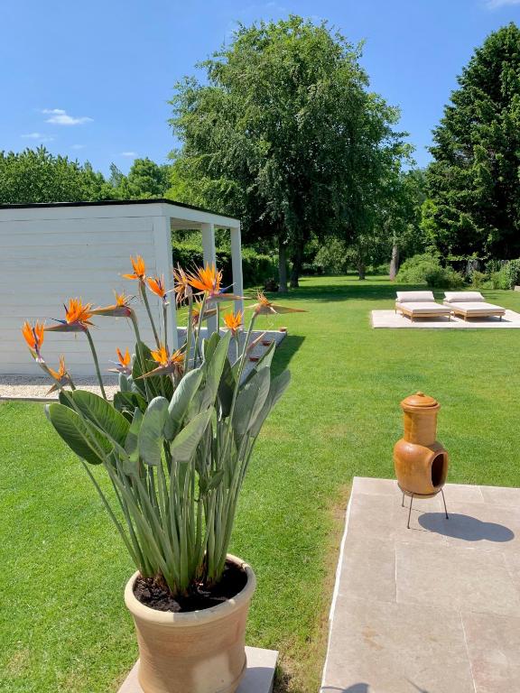 Zahrada ubytování Maison La Belle Cosy 2-bedroom house with jacuzzi & airco