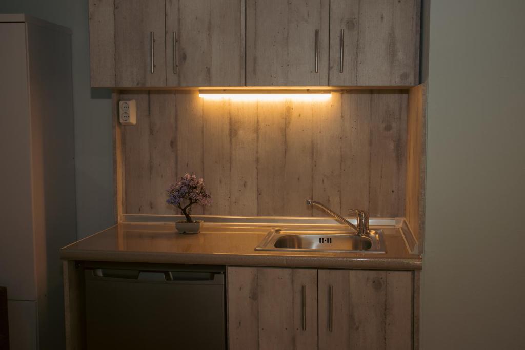 a kitchen counter with a sink and a light at Amaya Pine Studio in Panagia