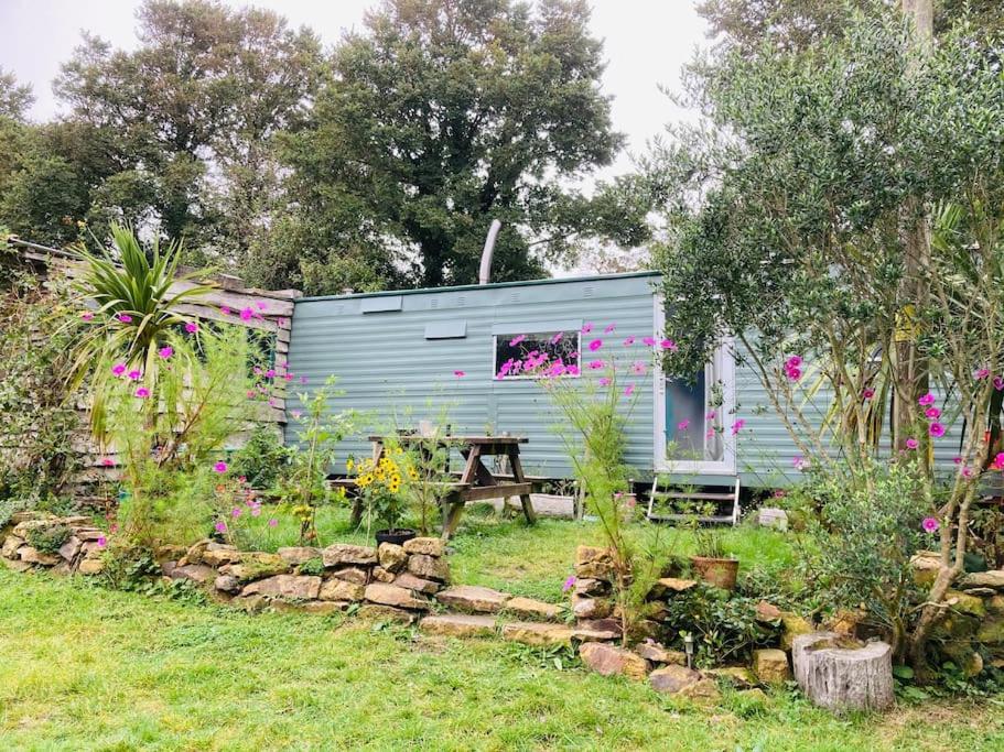 a blue tiny house in the middle of a garden at Olive's Cabin in Helston