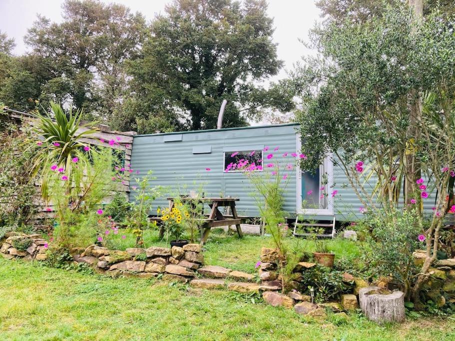 Κήπος έξω από το Olive's Cabin