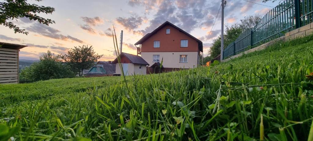 Zahrada ubytování Краєвид