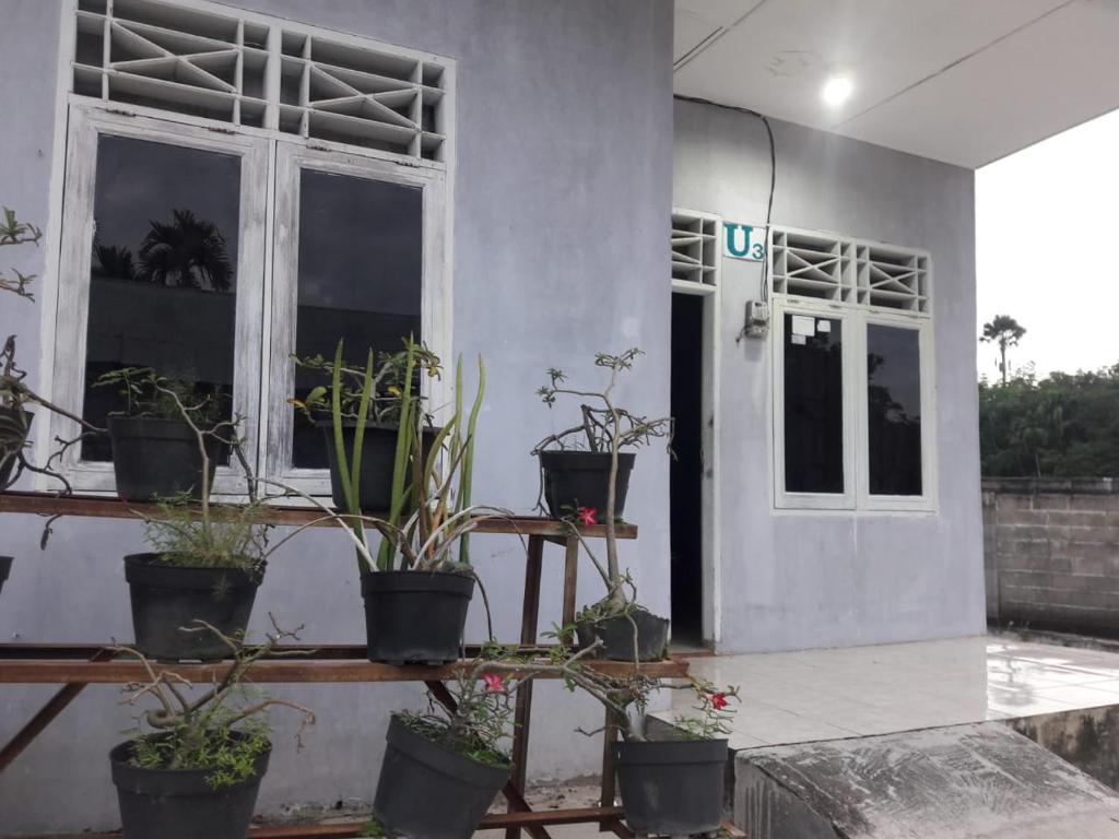 un grupo de plantas en macetas sentadas en un edificio en Home Sweet Dewi en Kualasimpang