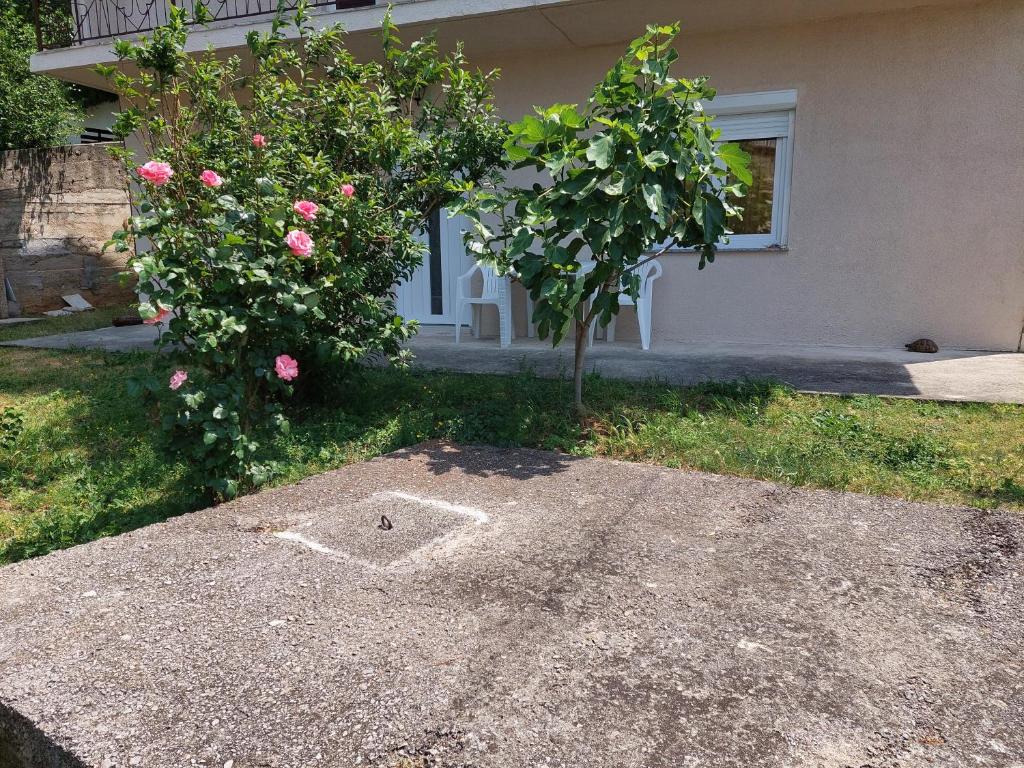 En have udenfor Apartman DANA