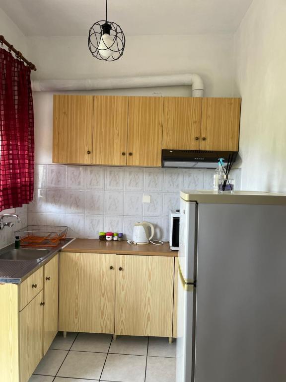 Kuchyňa alebo kuchynka v ubytovaní Eleni Antonouli Rooms