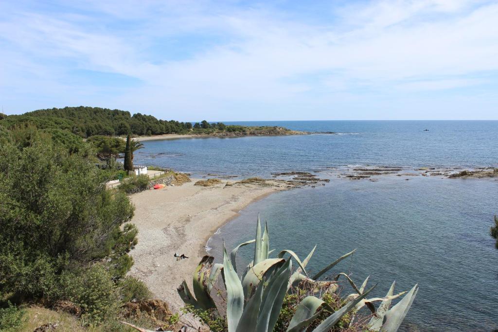 uma vista para uma praia com um cacto em A Chic Four-Person Apartment By The Beach At Cap Ras em Llançà