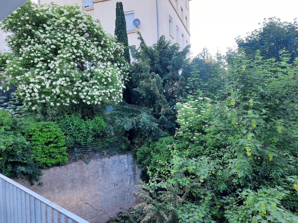 una vista aérea de un jardín con flores blancas en City Suite Gablenberg, en Stuttgart