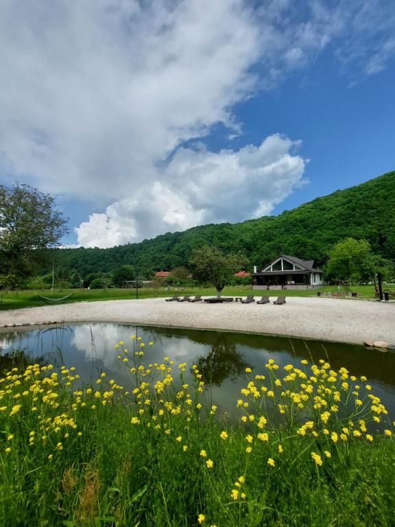 un étang avec un bouquet de fleurs jaunes dans l'herbe dans l'établissement Ciucea185 -Casa din Livadă, à Ciucea