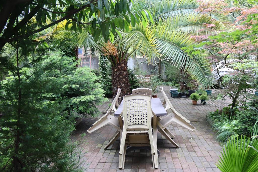 Zahrada ubytování Guesthouse in Batumi 97
