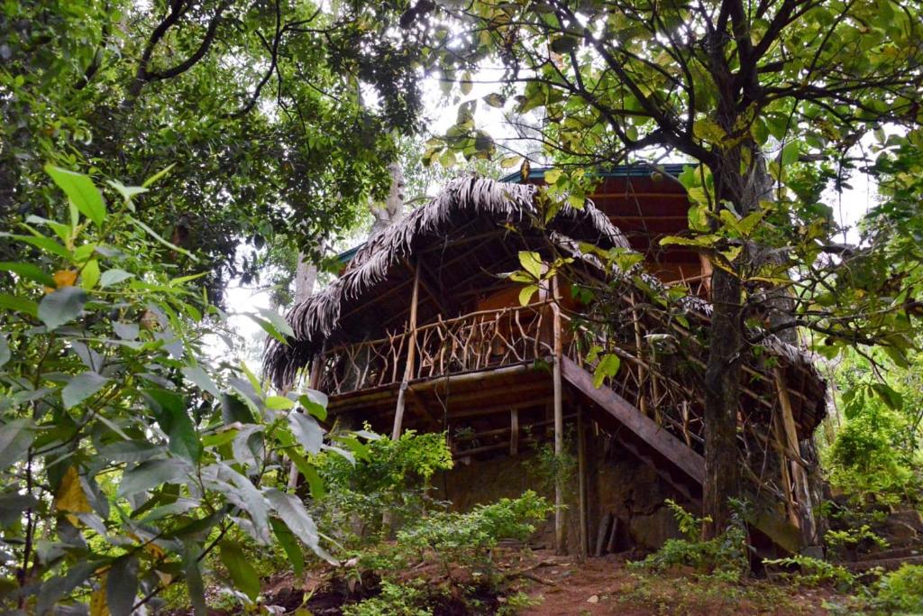 een oud huis met een rieten dak in het bos bij Eco Village in Ella