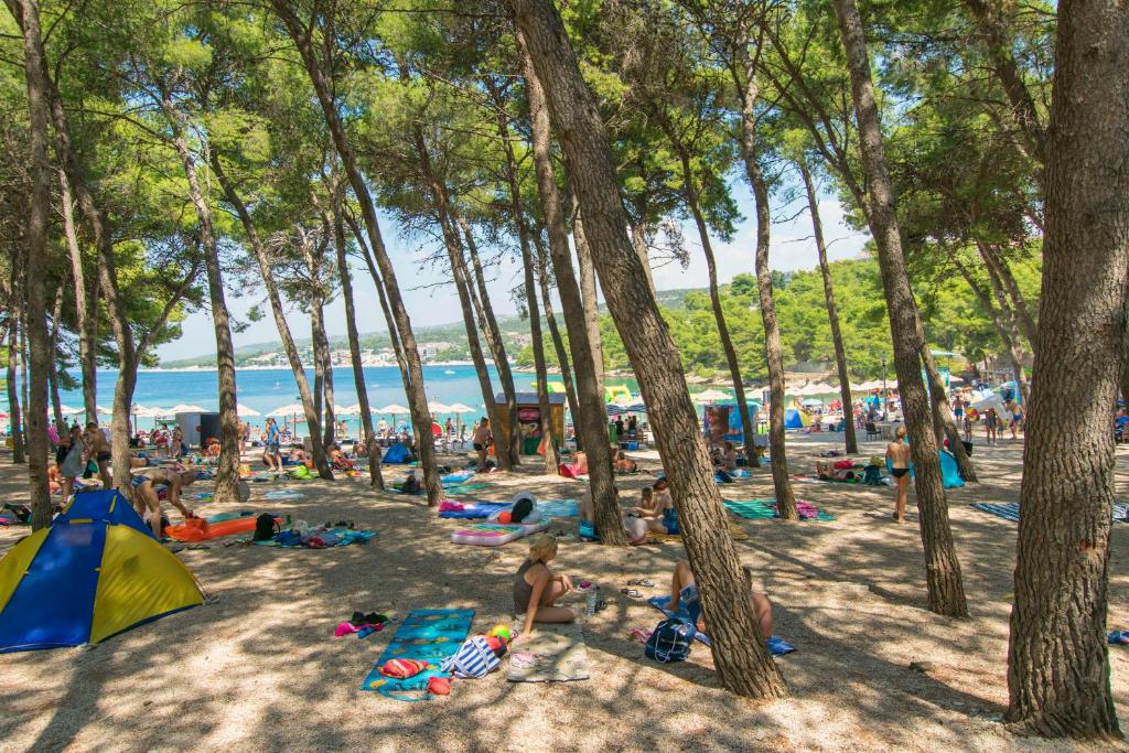 Príroda v okolí apartmánu